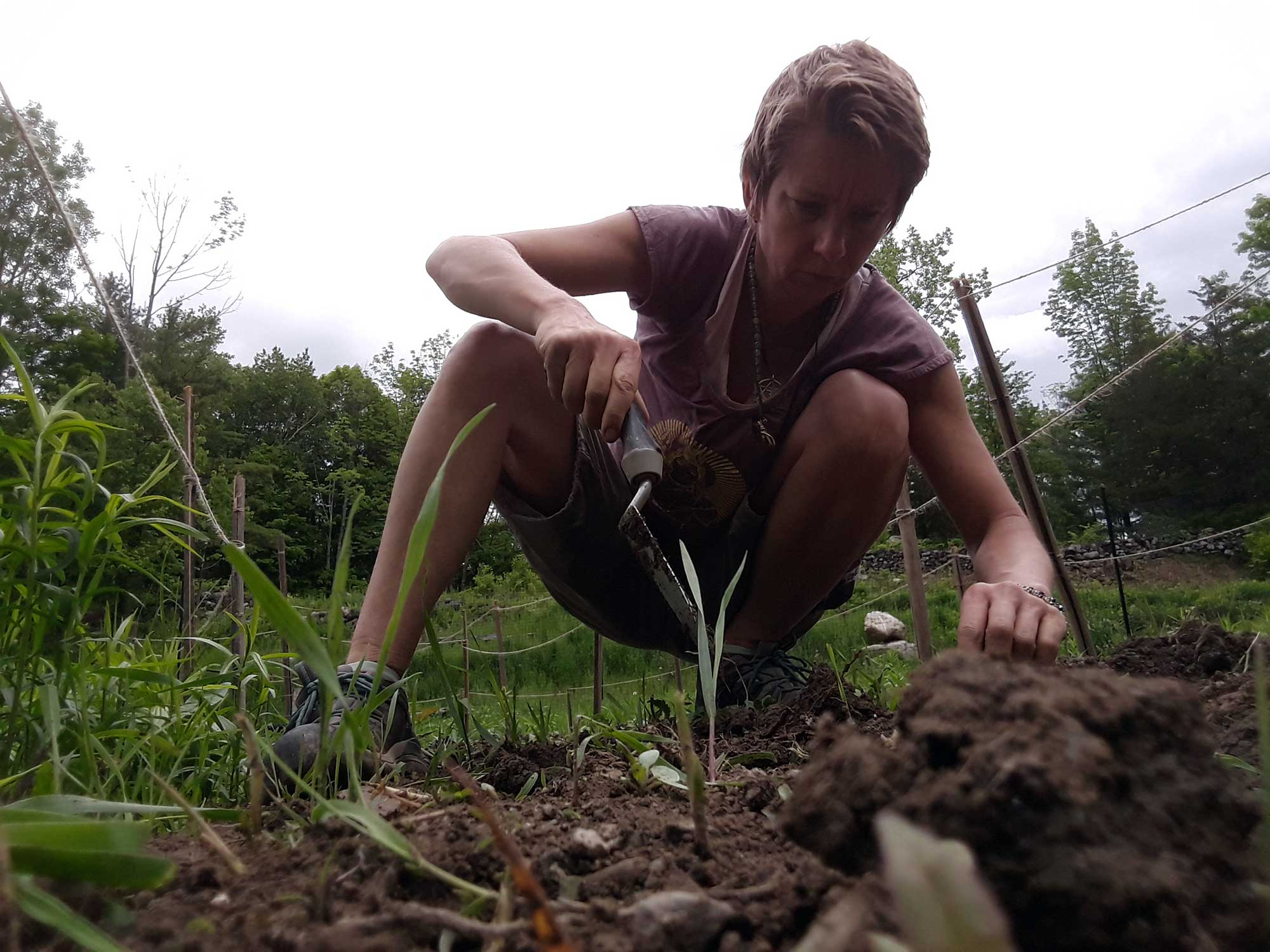 relativelylocal - Nicole Jaquis working the land at racebrook lodge farm